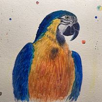 My project in Artistic Watercolor Techniques for Illustrating Birds course. Projekt z dziedziny Malowanie akwarelą użytkownika Maewee - 25.12.2020
