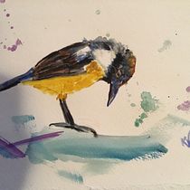 My project in Artistic Watercolor Techniques for Illustrating Birds course. Watercolor Painting project by Kim Vangarelli - 12.25.2020