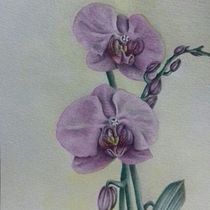 orquideas. Pintura em aquarela projeto de Rosalia Di Maggio - 26.12.2020