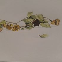 My project in Modern Watercolor Techniques course. Watercolor Painting project by Camille Savignac - 12.26.2020