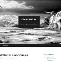 Escafandra: Mi Proyecto del curso: Principios básicos de SEO . Escrita, e Marketing de conteúdo projeto de Mario Cordero Ávila - 26.12.2020