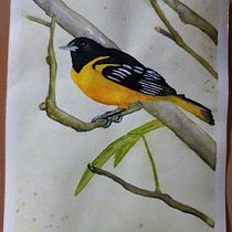 My project in Artistic Watercolor Techniques for Illustrating Birds course. Watercolor Painting project by Sandra Thyssen - 01.02.2021