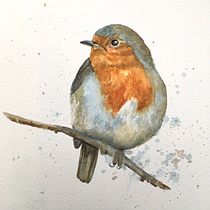 My robin project in Artistic Watercolor Techniques for Illustrating Birds course. Watercolor Painting project by Jill Egan - 12.27.2020