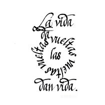 Mi Proyecto del curso: Introducción a la caligrafía itálica Ein Projekt aus dem Bereich Kalligrafie von Carmen Cobo Musatadi - 27.12.2020