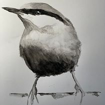 My project in Artistic Watercolor Techniques for Illustrating Birds course. Watercolor Painting project by smisaphoto - 12.28.2020