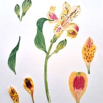 Meu projeto do curso: Ilustração botânica com aquarela. Artes plásticas, Criatividade, Desenho artístico, Design gráfico e Ilustração tradicional projeto de Carol Silvestrini - 02.04.2021