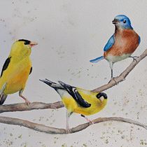 My project in Artistic Watercolor Techniques for Illustrating Birds course. Architectural Photograph, and Watercolor Painting project by adharper49 - 12.28.2020