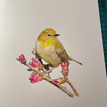 My project in Artistic Watercolor Techniques for Illustrating Birds course. Watercolor Painting project by René - 12.27.2020