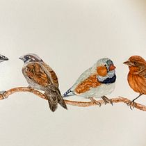 My project in Artistic Watercolor Techniques for Illustrating Birds course. Watercolor Painting project by salliebin - 12.28.2020