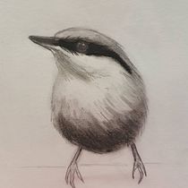 My project in Artistic Watercolor Techniques for Illustrating Birds course. Watercolor Painting project by Terrianne Hughes - 12.29.2020