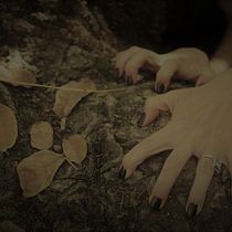 The Green Witch from tree hole  My project in Dark Conceptual Portraits course . Portrait Photograph project by Evelina Zozulya - 12.29.2020