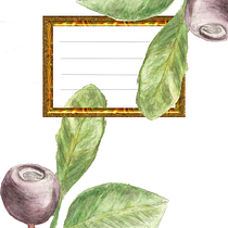 Mi Proyecto del curso: Ilustración botánica con acuarela. Pintura em aquarela projeto de Jesus Moreno - 29.12.2020