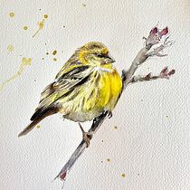 My project in Artistic Watercolor Techniques for Illustrating Birds course. Painting, and Watercolor Painting project by leslie.panfil - 12.29.2020