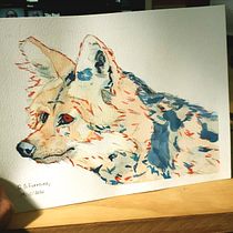 Meu projeto do curso: Técnicas experimentais de aquarela para principiantes (lobo guará) . Un progetto di Disegno artistico, Illustrazione tradizionale e Illustrazione con inchiostro di Rodolfo Santos - 29.12.2020