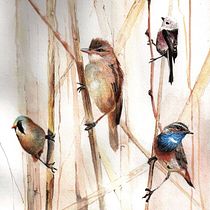 My project in Artistic Watercolor Techniques for Illustrating Birds course. Painting, and Watercolor Painting project by Dorota Martyńska - 12.30.2020