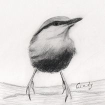 My nuthatch (Artistic Watercolor Techniques for Illustrating Birds course). Watercolor Painting project by Cindy Motmans - 12.30.2020