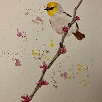 My project in Artistic Watercolor Techniques for Illustrating Birds course. Watercolor Painting project by Rachel Dawson - 12.31.2020