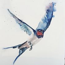 My project in Artistic Watercolor Techniques for Illustrating Birds course Ein Projekt aus dem Bereich Aquarellmalerei von Tina Ritter - 31.12.2020