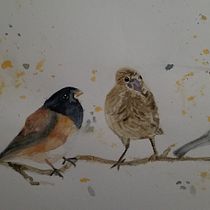 My project in Artistic Watercolor Techniques for Illustrating Birds course. Watercolor Painting project by Esther Yu Sumner - 01.01.2021