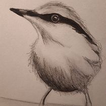 My project in Artistic Watercolor Techniques for Illustrating Birds course - Tonal Bird practice. Watercolor Painting project by dawnsusanskinner - 01.02.2021