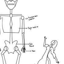 Mi Proyecto del curso: Dibujo anatómico para principiantes. Figure Drawing project by Agustina Donzino - 01.30.2021