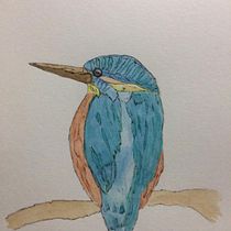 Meu projeto do curso: Ilustração naturalista de aves com aquarela. Desenho projeto de leonardo_golob - 03.01.2021