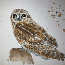 My project in Artistic Watercolor Techniques for Illustrating Birds course. Painting project by delphine.collin1 - 01.03.2021