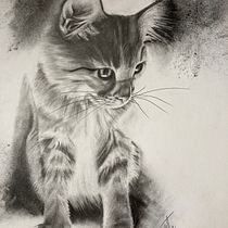 My project in Artistic Charcoal Portraiture: Creating Atmosphere course. Un proyecto de Dibujo a lápiz de Danielle Hudon - 04.01.2021