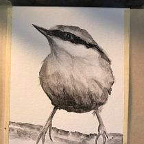 My project in Artistic Watercolor Techniques for Illustrating Birds course. Watercolor Painting project by nhdallison - 01.04.2021