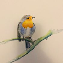 My project in Artistic Watercolor Techniques for Illustrating Birds course. Traditional illustration, Watercolor Painting, Realistic Drawing, and Naturalistic Illustration project by leoniei - 01.04.2021