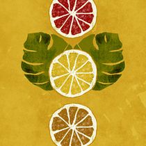 Meu projeto do curso: Ilustração flat com Photoshop. Traditional illustration project by Carolina Mendonça - 01.05.2021