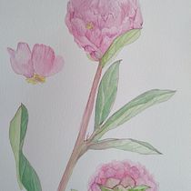 Flores rosadas en acuarela, conceptos botánicos.. Architecture, Interior Architecture, Decoration, Traditional illustration, and Watercolor Painting project by Andrea Zamorano R. - 01.06.2021
