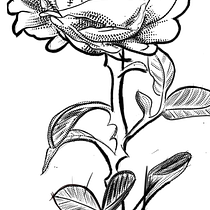 Mi Proyecto del curso: Tatuaje botánico con puntillismo. Desenho digital projeto de Guido Adrian Vega Romero - 08.01.2021