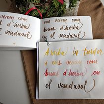 Mi Proyecto del curso: Caligrafía itálica con brush pen Ein Projekt aus dem Bereich Kalligrafie von mariadelpuerto.g - 07.01.2021