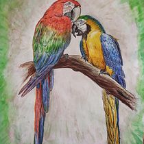 Meu projeto do curso: Ilustração naturalista de aves com aquarela. Ilustração botânica, e Pintura em aquarela projeto de tiagogaeta - 08.01.2021