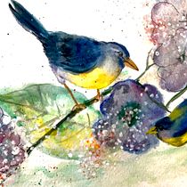My project in Artistic Watercolor Techniques for Illustrating Birds course. Watercolor Painting project by butter.art - 01.08.2021