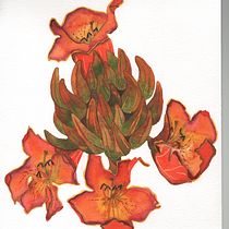 My final project  . Botanical Illustration, and Watercolor Painting project by Julia Cardón - 01.23.2021