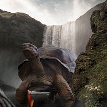 Tortuga Gigante. Matte Painting project by Wilson Andres Rios Rodriguez - 01.08.2021