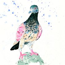 My project in Artistic Watercolor Techniques for Illustrating Birds course. Watercolor Painting project by garymoody - 01.09.2021