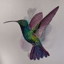 PC: Ilustración naturalista de aves con acuarela. Pintura em aquarela, Ilustração tradicional, Desenho realista e Ilustração naturalista projeto de Lais Lima - 09.01.2021