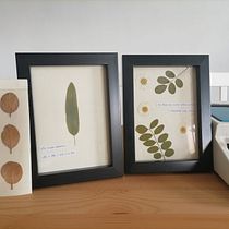 Mi Proyecto del curso: Técnicas básicas de prensado botánico. Un progetto di Artigianato, Belle arti, Collage e DIY di Daniela Mesquita - 09.01.2021