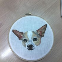 My project in Needle Painting for Begginers course: Pipo . Embroider project by magoma0001 - 01.09.2021