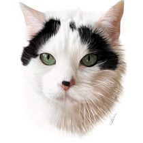 Mi Proyecto del curso: Ilustración naturalista de animales con Procreate. Portrait Drawing, and Realistic Drawing project by Irene Pérez Hualde - 01.02.2021