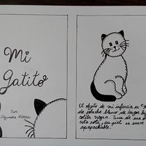 Mi Gatito, el objeto de mi infancia.. Un projet de Écriture de Alejandra Zúñiga Valverde - 09.01.2021