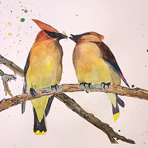 My project in Artistic Watercolor Techniques for Illustrating Birds course. Watercolor Painting project by Sara Root-Simone - 01.10.2021