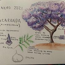 Mi Proyecto del curso: Cuaderno botánico en acuarela. Projekt z dziedziny Trad, c, jna ilustracja, Malowanie akwarelą, R, sunek botaniczn i Sketchbook użytkownika Julissa Chávez - 10.01.2021