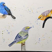 My project in Artistic Watercolor Techniques for Illustrating Birds course. Watercolor Painting project by megan.heidenreich - 01.29.2021
