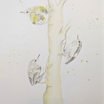 My project in Artistic Watercolor Techniques for Illustrating Birds course. Watercolor Painting project by judi.miller - 01.10.2021
