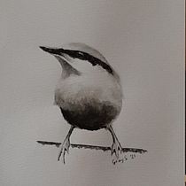 My project in Artistic Watercolor Techniques for Illustrating Birds course. Watercolor Painting project by Graham Stegemann - 01.20.2021
