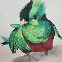 Quetzal. Watercolor Painting project by Selene Oviedo - 01.10.2021
